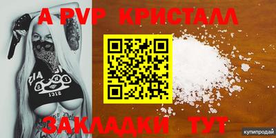 стафф Можга