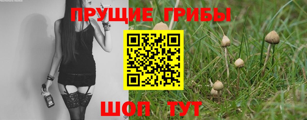 Чехов  Псилоцибиновые грибы мухоморы  Вход с VPN 